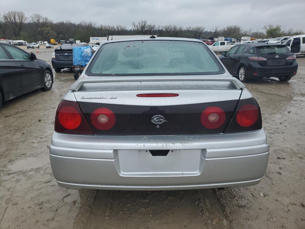 2004 Chevrolet Impala Ls VIN: 2G1WH52K649388712 Lot: 51843635