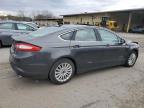 2016 Ford Fusion Se Hybrid zu verkaufen in Marlboro, NY - Front End