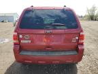 2012 Ford Escape Xlt за продажба в Columbia Station, OH - Front End