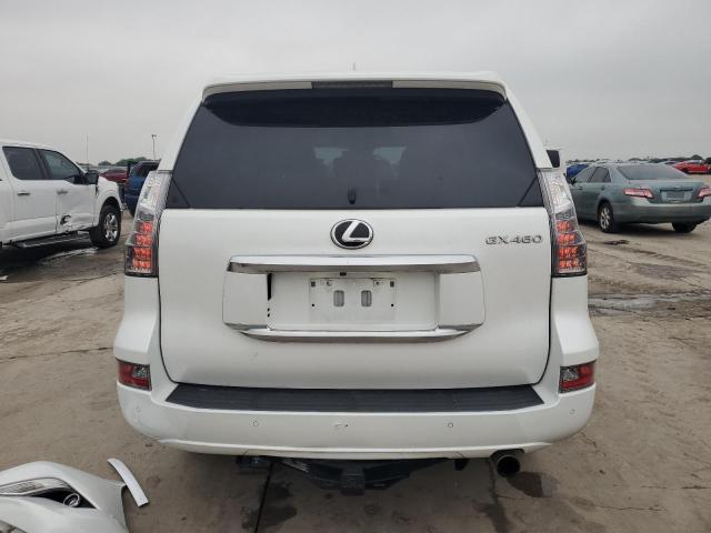  LEXUS GX 2021 White