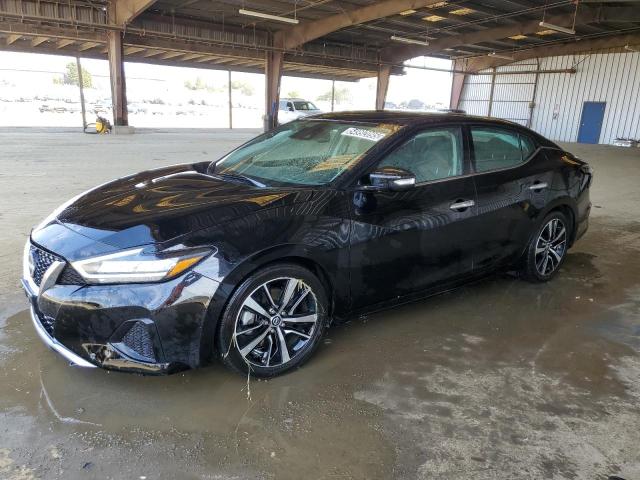 2023 Nissan Maxima Sv