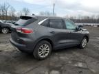 2020 Ford Escape Se na sprzedaż w Marlboro, NY - Front End