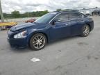 2009 Nissan Maxima S zu verkaufen in Lebanon, TN - All Over