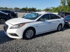 Riverview, FL에서 판매 중인 2016 Hyundai Sonata Hybrid - Mechanical