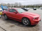 2013 Ford Mustang  للبيع في Rogersville، MO - Hail