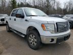 2011 FORD F150 SUPERCREW à vendre chez Copart ON - COOKSTOWN