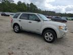 2008 Ford Escape Xlt for Sale in Harleyville, SC - Rear End