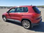 2014 Volkswagen Tiguan S for Sale in Brookhaven, NY - Minor Dent/Scratches