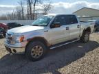 2013 Ford F150 Supercrew zu verkaufen in Central Square, NY - Normal Wear