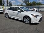 2024 Toyota Corolla Le for Sale in Miami, FL - Water/Flood