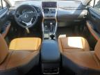 2019 Lexus Nx 300H for Sale in Fredericksburg, VA - Front End
