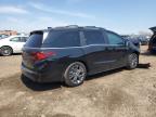 2025 Honda Odyssey Touring for Sale in Elgin, IL - Front End
