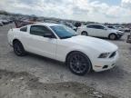 2011 Ford Mustang  for Sale in Madisonville, TN - Front End