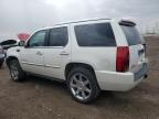 Elgin, IL에서 판매 중인 2007 Cadillac Escalade Luxury - Front End
