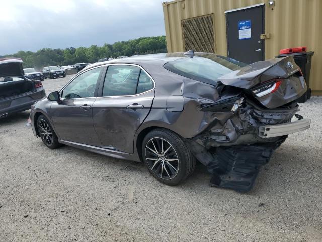  TOYOTA CAMRY 2023 Szary