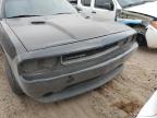 2013 Dodge Challenger Sxt en Venta en Albuquerque, NM - Minor Dent/Scratches