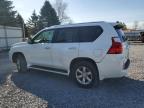 2011 Lexus Gx 460 продається в Albany, NY - Rear End