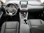 2020 Lexus Nx 300 for Sale in Elgin, IL - Front End