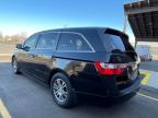 2011 Honda Odyssey Exl zu verkaufen in Oklahoma City, OK - Normal Wear