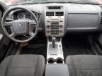 2010 Ford Escape Xlt zu verkaufen in Elmsdale, NS - Minor Dent/Scratches
