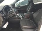 2024 Ford Escape St Line for Sale in Louisville, KY - Front End