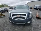 2019 Cadillac Escalade Esv Luxury zu verkaufen in Spartanburg, SC - Hail