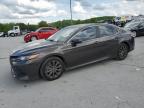 2019 TOYOTA CAMRY L à vendre chez Copart TN - NASHVILLE