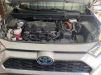 2021 Toyota Rav4 Xle продається в Apopka, FL - Rear End