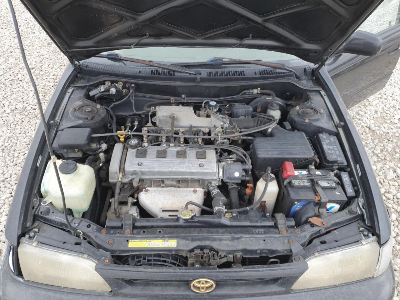 1NXBB02E6TZ464060 1996 Toyota Corolla Dx