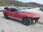 2010 Ford Mustang  de vânzare în Hurricane, WV - Front End