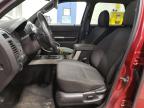 2010 Ford Escape Xlt for Sale in Blaine, MN - Front End