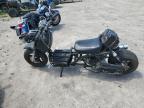 2021 Iceb Pmz50-M1 for Sale in Gaston, SC - Side