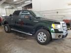 2014 Ford F150 Supercrew for Sale in Ham Lake, MN - Front End