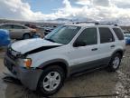 2002 Ford Escape Xlt for Sale in Magna, UT - Front End