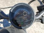 2022 Honda Cmx300 A for Sale in Greenwell Springs, LA - All Over