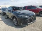 2022 Lexus Nx 350H for Sale in Cahokia Heights, IL - Rear End