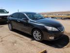2011 Lexus Es 350 للبيع في Albuquerque، NM - Rear End