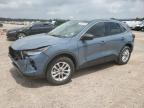 2024 Ford Escape Active for Sale in Houston, TX - Front End