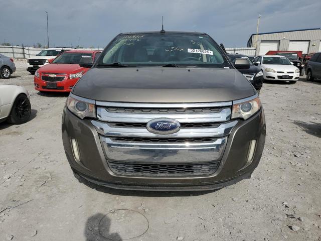  FORD EDGE 2013 Цвет загара