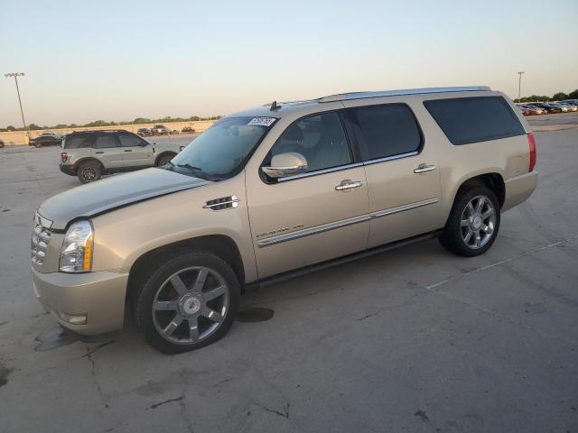 2010 Cadillac Escalade Esv Premium