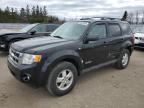 2008 FORD ESCAPE XLT for sale at Copart ON - TORONTO