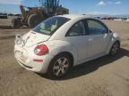 2006 Volkswagen New Beetle Tdi for Sale in Brighton, CO - Rear End