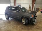 2019 Jeep Renegade Latitude for Sale in Lansing, MI - All Over