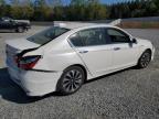 2017 Honda Accord Hybrid Exl for Sale in Concord, NC - Rear End