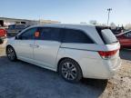 2016 Honda Odyssey Touring na sprzedaż w Indianapolis, IN - Water/Flood