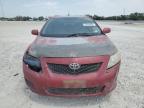 2010 Toyota Corolla Base en Venta en New Braunfels, TX - All Over
