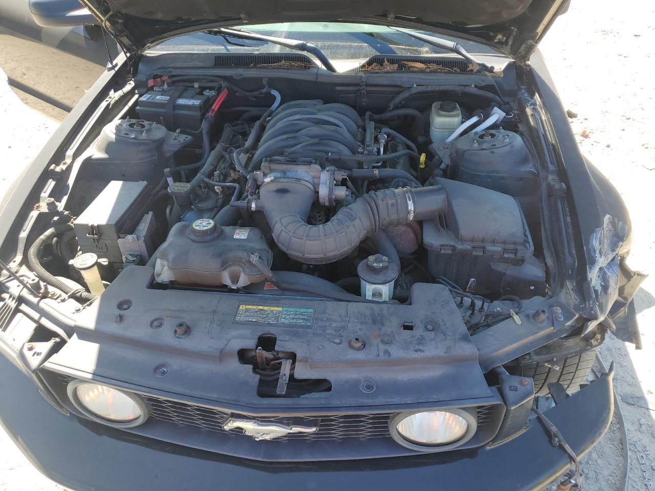 2006 Ford Mustang Gt VIN: 1ZVHT82HX65250091 Lot: 54744845
