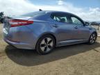 2011 Kia Optima Hybrid for Sale in Brighton, CO - Rear End
