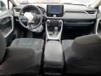 2020 Toyota Rav4 Le for Sale in Anthony, TX - Front End