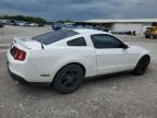 2012 Ford Mustang  for Sale in Madisonville, TN - Side